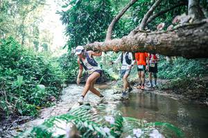 BIB: 
                            <button type="button" onclick="openModal(25441560)" class="btn btn-primary btn-sm float-right btn-popup" data-toggle="modal" data-target=".modal-high-quality">
                        <i class="fas fa-shopping-cart"></i> Add to Cart
                    </button>
                                            <button type="button" onclick="isThisMe(25441560, true)" class="btn btn-success btn-sm float-right btn-popup btn-isme hidden" data-toggle="tooltip" data-placement="bottom" title="นี่คือรูปของคุณใช่ไหม คลิกที่นี่เพื่อเอาเข้าอัลบั้ม">
                        <i class="fas fa-plus"></i> Add to album
                    </button>
                    <button type="button" onclick="isThisMe(25441560, false)" class="btn btn-warning btn-sm float-right btn-popup btn-isnotme hidden">
                        <i class="fas fa-ban"></i> Remove from album
                    </button>